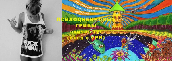 бошки Бугульма