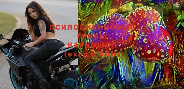 ГАЛЛЮЦИНОГЕННЫЕ ГРИБЫ Бронницы